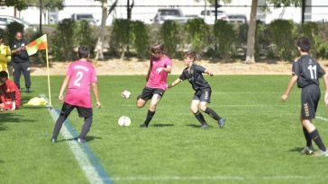 Diversity and Inclusion in Youth Sports: A Winning Future