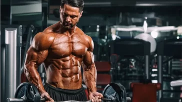 Proven Muscle-Building Workouts for Strength & Results