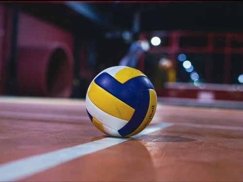 Budget-Friendly Sports Equipment Picks for Beginners