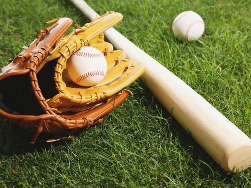 Budget-Friendly Sports Equipment Picks for Beginners