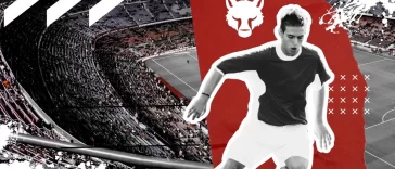 Top Sports Leagues by Global Viewership and Fan Impact