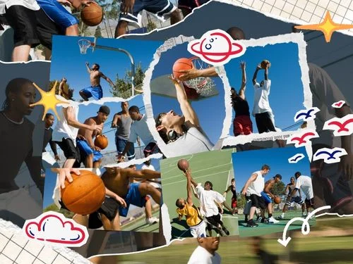 Top Sports Leagues by Global Viewership and Fan Impact